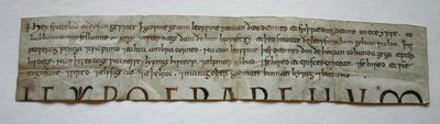 Godwine Charter af (after) English School