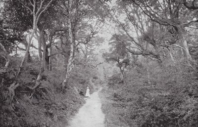 Fairlight Glen (s/h-foto) af (after) English photographer