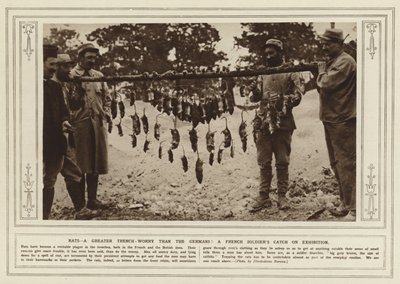 Rotter, en større skyttegravsbekymring end tyskerne! En fransk soldats fangst på udstilling (s/h foto) af (after) English photographer