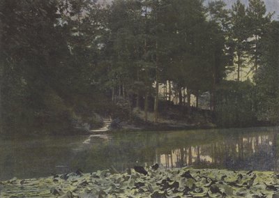 Bois de Boulogne, Reservoiret (farvet foto) af (after) French Photographer