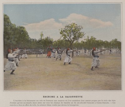 Bajonethegn (farvet foto) af (after) French Photographer