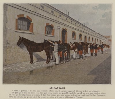 The Grooming (farvet foto) af (after) French Photographer