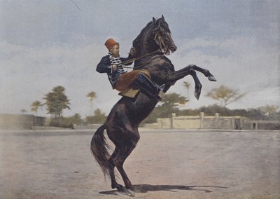 Nos Cavaliers (farvet foto) af (after) French Photographer