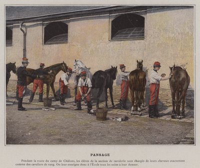 Pansage (farvet foto) af (after) French Photographer