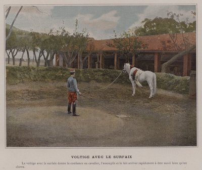 Vaulting med Surcingle (farvet foto) af (after) French Photographer