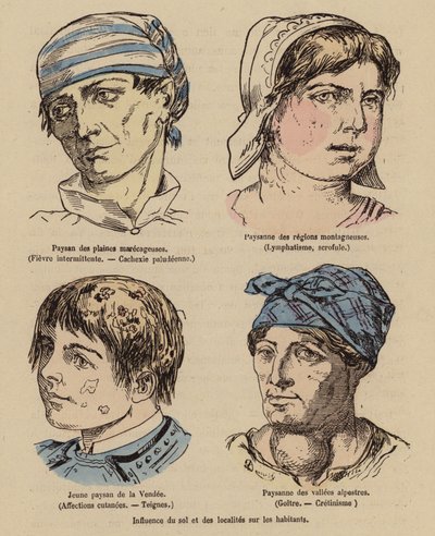 Solens og den geografiske placerings indflydelse på mennesker (koloreret stik) af (after) French School