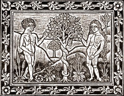 Træet, hvorfra Adam spiste æblet, faksimile fra en meditationsbog, den første bog trykt i Albi, Languedoc, i 1481 af (after) French School
