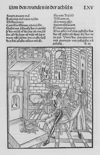 The Book of Cirurgia af Hieronymus Brunschwig (litho) af (after) German School