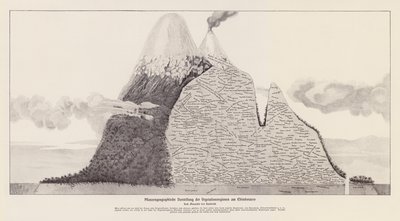 Vegetationsområder i Chimborazo, Ecuador (litografi) af (after) German School