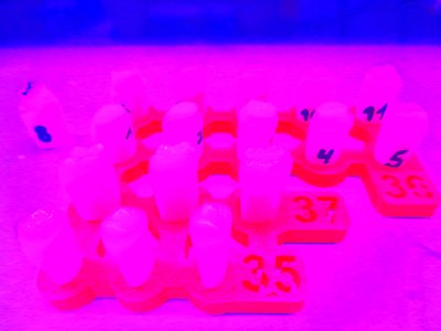 Neon-tænder af Martina Konitzky