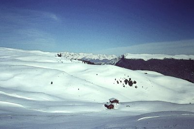 Sne i Alperne af Detlef B. Fischer