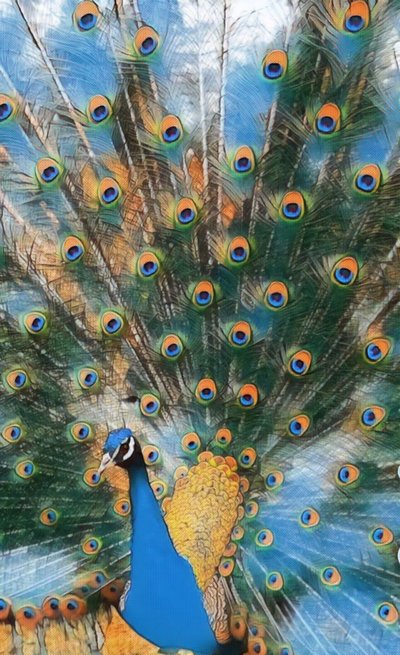 Pavo Real. af Margareta Uliarte