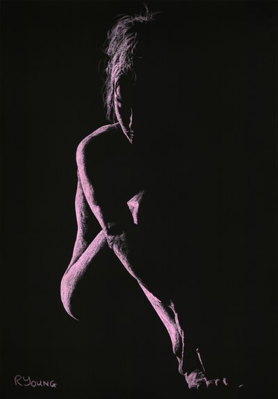 Beslutninger af Richard Young