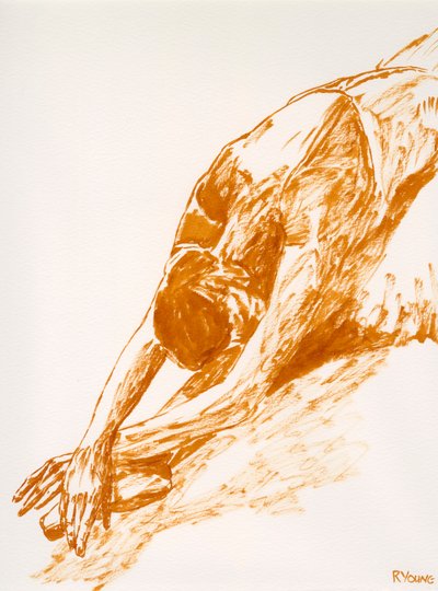 Døende svane - undersøgelse af Richard Young