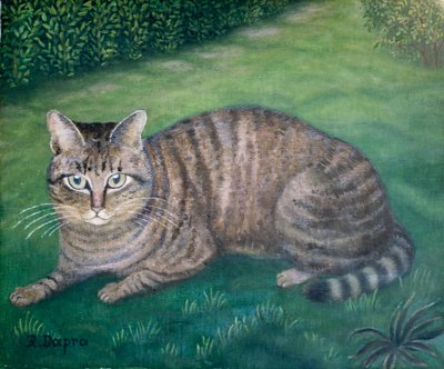 Katten Julia af Regine Dapra