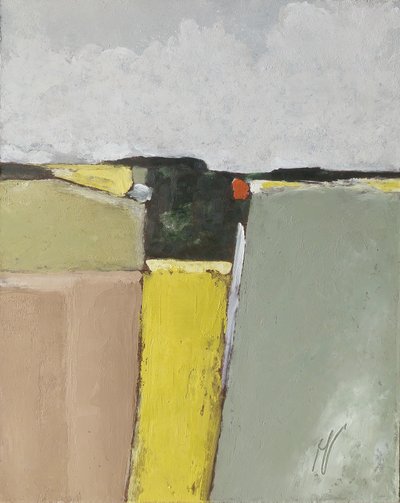 Felter med regelmæssige mønstre af M. Vet