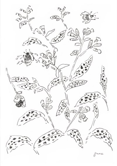  af june art