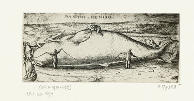Print af den opvaskede hval nær Antwerpen, 2. juli 1577 af A.B. van Deinse