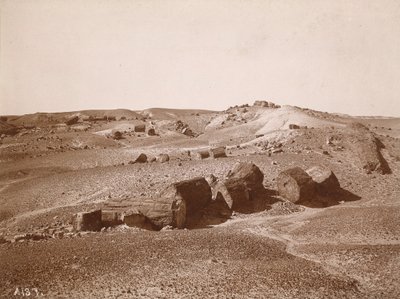 I den forstenede skov (General View, Middle Park) af A.C. Vroman