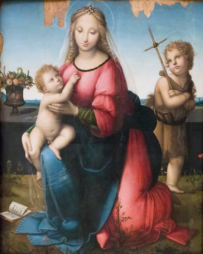 Madonna og barn med den unge St John, Andrea Piccinelli kendt som il Brescianino (olie på panel) af A. (1485 c.1525) Piccinelli