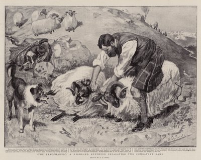 The Peacemaker, en Highland Shepherd, der adskiller to kombatterende væddere af A. G. Small