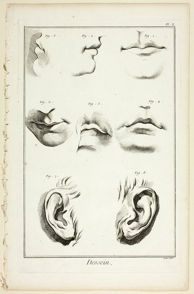 Design: Facial Anatomy fra Encyclopédie af A. J. Defehrt