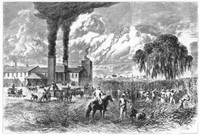 Sukkerplantage, New Orleans, 1870. af A. R. Ward