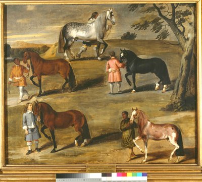  af A Sijmons