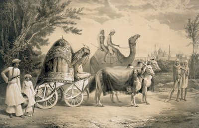 Harem Carriage of the King of Delhi, fra 