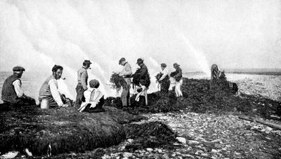 Brændende tang til tang, Aran Islands, Irland, 1922. af A. W. Cutler