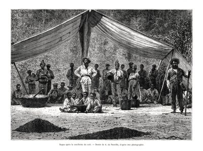 Et måltid efter kaffeindsamlingen, Brasilien, 1800-tallet af A. de Neuville
