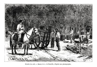 Høst kaffen, Brasilien, 1800-tallet af A. de Neuville