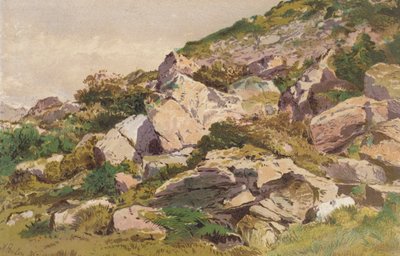 Undersøgelse af sten på nordsiden af Taliaris, nær Llandilo, Sydwales (chromolitho) af Aaron Edwin Penley