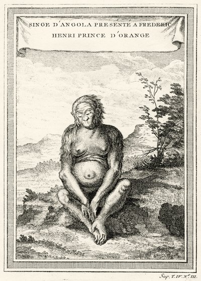 Illustration af den orangutang, der blev præsenteret for Frederik Henrik, prins af Orange, i 1750 af Abbé Prévost