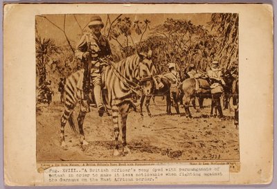 Horse and Cruiser Camouflaged, studiemappe til bogen Concealing Coloration in the Animal Kingdom (Skjult farve i dyreriget) af Abbott Handerson Thayer