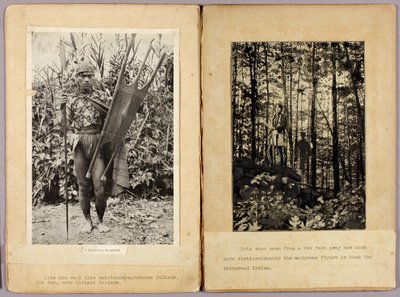 Kalinga Warriors and N. American Indians, studiemappe til bogen Concealing Coloration in the Animal Kingdom (skjulte farver i dyreriget) af Abbott Handerson Thayer