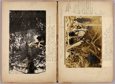 N. Amerikanske indianere, studiemappe til bogen Concealing Coloration in the Animal Kingdom af Abbott Handerson Thayer
