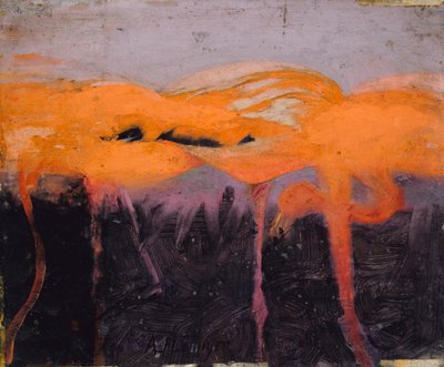 Red Flamingoes, studie til bogen Concealing Coloration in the Animal Kingdom, ca. 1905-1909. af Abbott Handerson Thayer