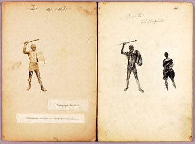 Tattooing--Single Warrior, studiemappe til bogen Concealing Coloration in the Animal Kingdom (Skjult farve i dyreriget) af Abbott Handerson Thayer