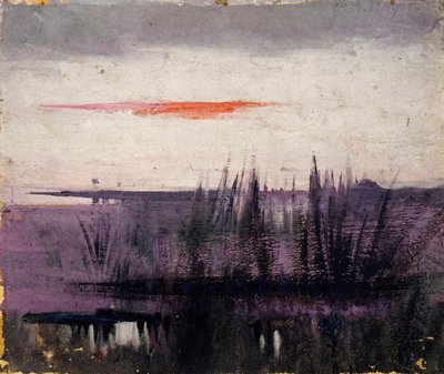 The Sky Simulated by White Flamingoes studie til bog..., i Animal Kingdom, ca. 1905-1909. af Abbott Handerson Thayer