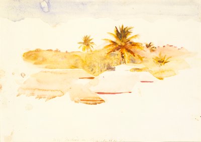 Vestindien, n.d. af Abbott Handerson Thayer