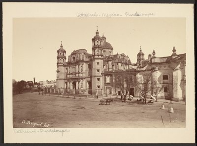 [Katedralen i Guadalupe] af Abel Briquet