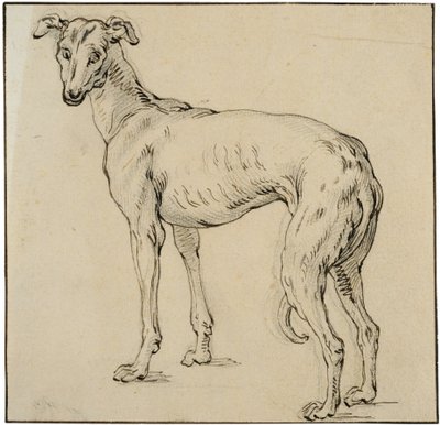 Greyhound af Abraham Bloemaert