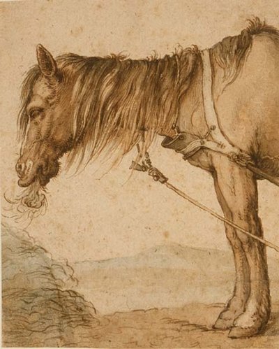 PD.159-1963 A Horse Eating Hay, c.1600-10 (pen og blæk, vask) af Abraham Bloemaert