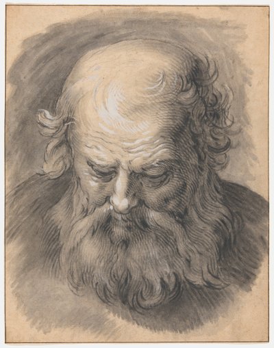 Studie af hovedet af en skægget mand af Abraham Bloemaert