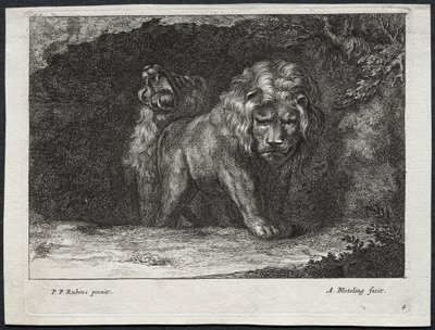 Forskellige løver af Abraham Blooteling