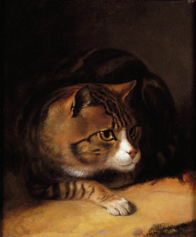En tabby kat af Abraham Cooper