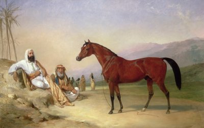 To beduiner med en bugtende arabisk hingst i ørkenen af Abraham Cooper