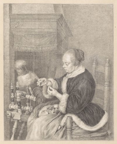 Spinsteren af Abraham Delfos