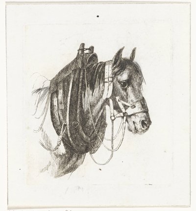 Hestehoved med trens, sele og sadel af Abraham Hendrik Winter